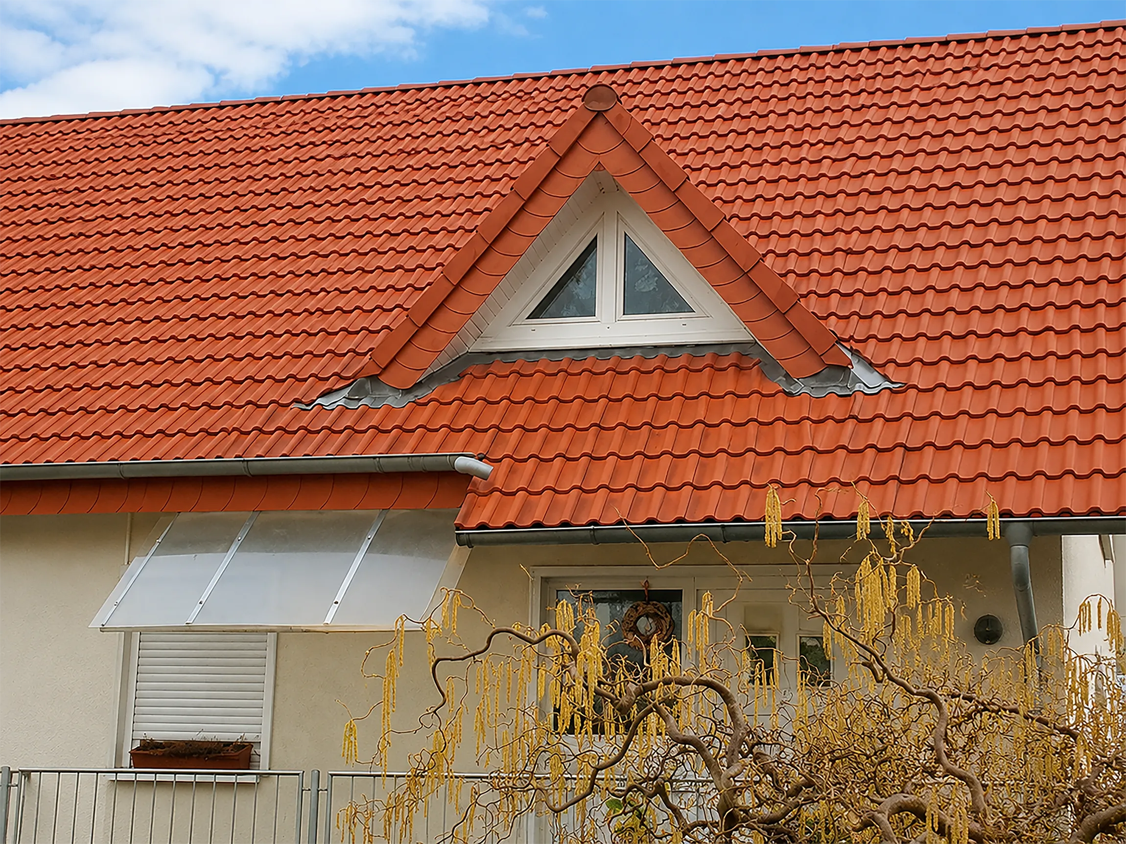 die-aussenreiniger-referenzen-efh-frankfurt-a